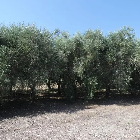 Séjour à la campagne Il Podere Del Ponti
