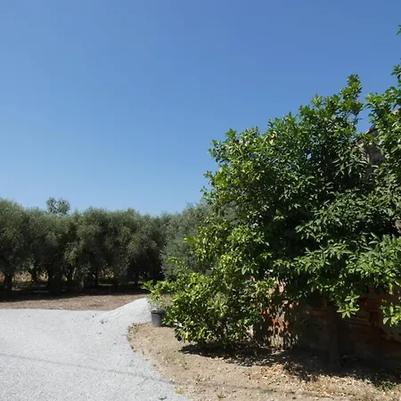 Séjour à la campagne Il Podere Del Ponti